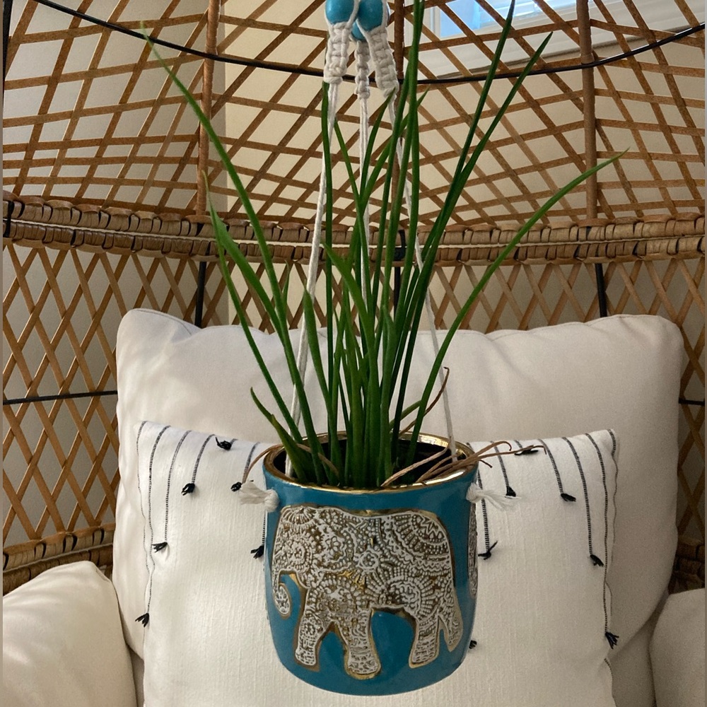 Hanging Elephant Planter
